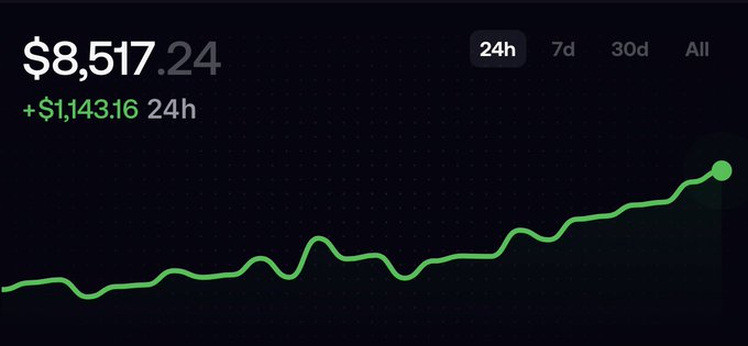 A financial chart displaying a portfolio value of $8,517.24, up $1,143.16 in 24h, with a green line graph showing an upward trend.