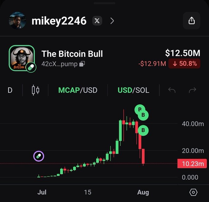The image shows a cryptocurrency trading chart for "The Bitcoin Bull" (ticker TBB) on pump.fun (contract ending 42cX...pump), with a current market cap of $12.50M and a sharp 50.8% decline of $12.91M, highlighting recent price action with green and red candlesticks between July and August. The accompanying post from user "mikey2246" announces buying 20 more SOL worth of $TBB on the dip from his public wallet, emphasizing that these tokens will never be market sold to manipulate the chart, and encouraging DCA support for builders.