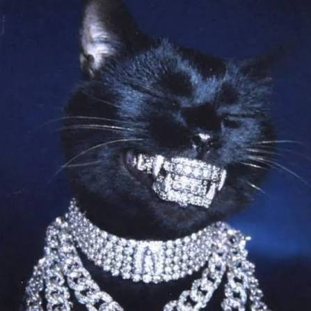 A black cat with its mouth open showing diamond-encrusted teeth, wearing sparkling diamond necklaces and chains.