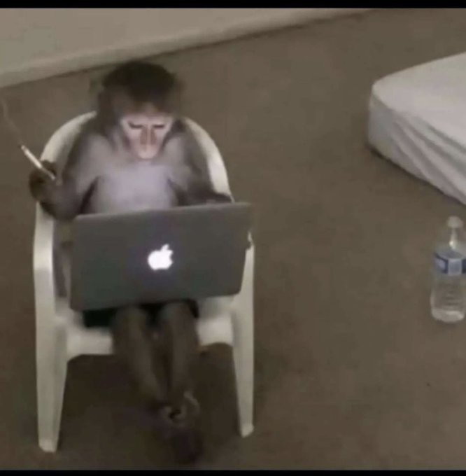 A humorous scene showing a baboon sitting in a white plastic chair, appearing to use an Apple MacBook laptop while holding a cigarette, next to a water bottle on a carpeted floor.