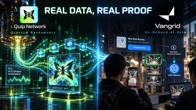 A promotional graphic with the headline 'REAL DATA, REAL PROOF' advertising Quip Network's 'Quantum Randomness' for NFT verification and Vangrid's 'On-Demand AI Data' platform for requesting, reviewing, and releasing data bounties via USDC.