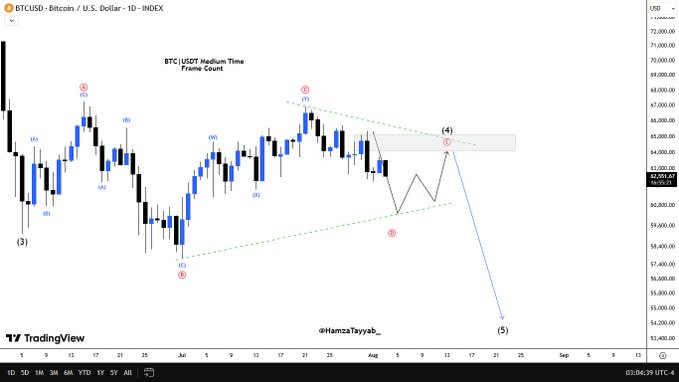 A TradingView chart of BTCUSD on a 1-day timeframe showing Elliott Wave analysis, with price levels around $63,000 and projected downward movement to point (5) near $52,000, credited to @HamzaTayyaab_.