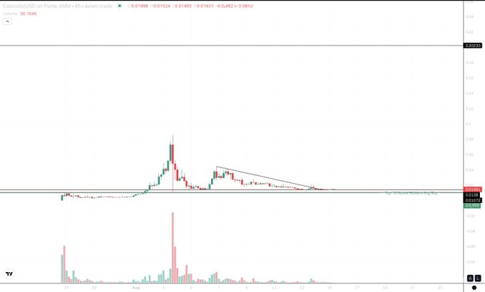 A 4-hour candlestick chart of CATE/USD on Pump AMM v shows the token trading at $0.01408 with a volume of 36.16K, displaying a sharp price spike followed by consolidation in a descending triangle pattern near support levels. The chart visually supports the post's thesis of CATE being a "Cat version of Doge," with the descending wedge pattern suggesting a potential breakout point for renewed upward momentum.