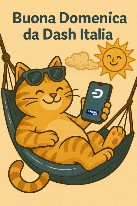An illustrated cat wearing sunglasses lounges in a hammock holding a phone displaying the Dash logo, with text reading 'Buona Domenica da Dash Italia.'