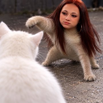A digitally altered image showing a cat's body with a human woman's face and long red hair, appearing to swat at a white cat.