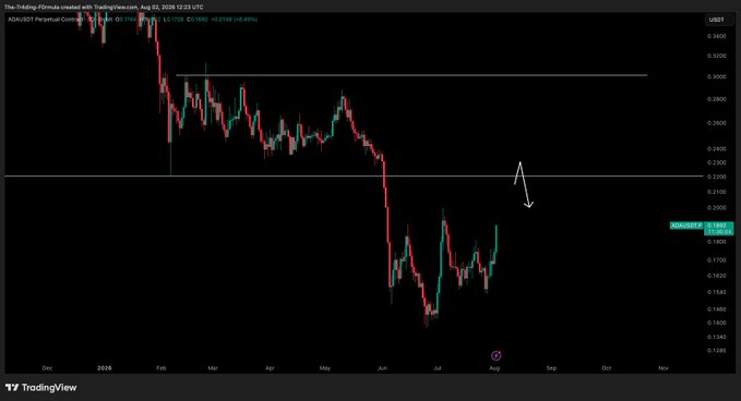 A TradingView chart of ADA/USDT shows a sharp downtrend from late 2025 into mid-2026, with price currently hovering near $0.19 below the key $0.22 resistance level—aligning with the author's plan to short on rejection or long on a flip of 0.22¢. A drawn arrow highlights the potential rejection zone near the horizontal resistance line.