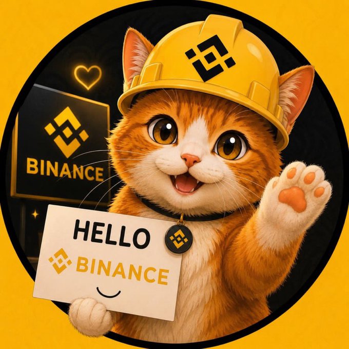 A cartoon-style orange tabby cat wearing a yellow Binance hard hat and holding a 'HELLO BINANCE' sign, with Binance logos visible in the background.