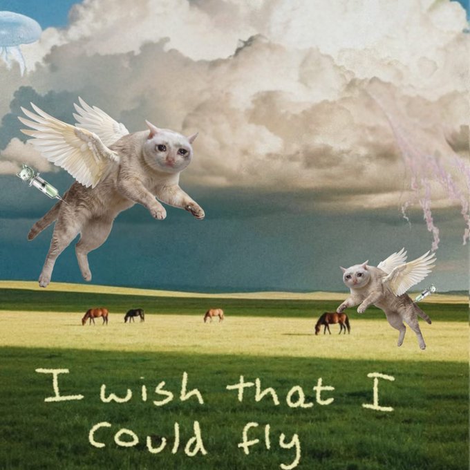 The image is a whimsical, meme-style picture featuring two winged cats flying through a cloudy sky over a green field with grazing horses. The text "I wish that I could fly" is written in a grass-text font at the bottom. This visual playfully ties to the accompanying post "$ketcat," suggesting a cat with jetpacks or wings "flying" sky-high, likely referencing a cryptocurrency takeoff.
