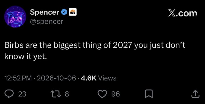 A screenshot of a post from X (formerly Twitter) by user 'Spencer (@spencer)' reading 'Birbs are the biggest thing of 2027 you just don't know it yet', posted at 12:52 PM on 2026-10-06 with 4.6K views.