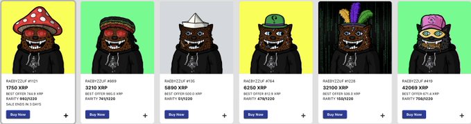 A row of six NFT profile pictures featuring characters with stitched mouths wearing different hats and accessories, with floor prices and rarity stats visible, each having a 'Buy Now' button.