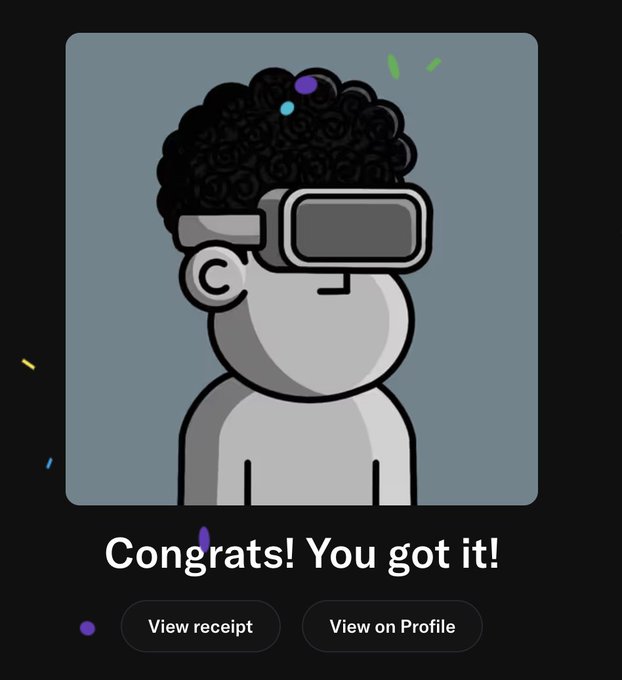 A cartoon character with curly hair wearing a VR headset on a gray background, with the text 'Congrats! You got it!' and buttons labeled 'View receipt' and 'View on Profile'.