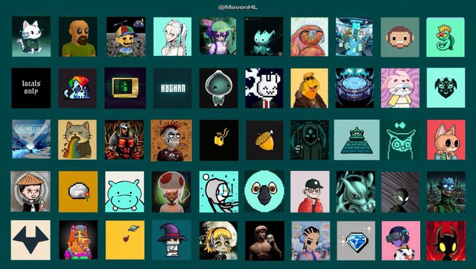 A grid display showcasing a collection of diverse Hyperliquid NFTs, including pixel art characters, creatures, and stylized digital artwork. The username "@MavenHL" appears at the top, indicating the curated gallery of these unique NFT tokens from the Hyperliquid ecosystem.