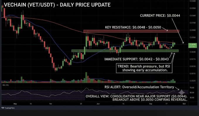 A daily candlestick chart for VeChain (VET/USDT) shows the price at $0.0044, consolidating between immediate support at $0.0042–$0.0043 and key resistance at $0.0048–$0.0050, with the RSI in oversold/accumulation territory suggesting a potential bounce. The chart visually supports the post's technical analysis, highlighting the critical support zone, overhead resistance, and bullish RSI divergence hinting at a possible breakout above $0.0050.