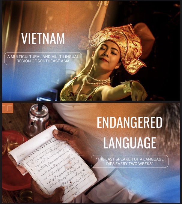 An educational graphic titled 'VIETNAM: A MULTICULTURAL AND MULTILINGUAL REGION OF SOUTHEAST ASIA' featuring a woman in traditional dress, alongside a second section labeled 'ENDANGERED LANGUAGE' with the quote 'The last speaker of a language dies every two weeks' over an image of hands writing in a notebook.