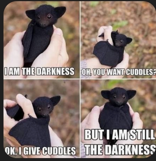 A four-panel meme showing a small black bat being held in hands, with captions reading 'I AM THE DARKNESS', 'OH, YOU WANT CUDDLES?', 'OK, I GIVE CUDDLES', and 'BUT I AM STILL THE DARKNESS'.