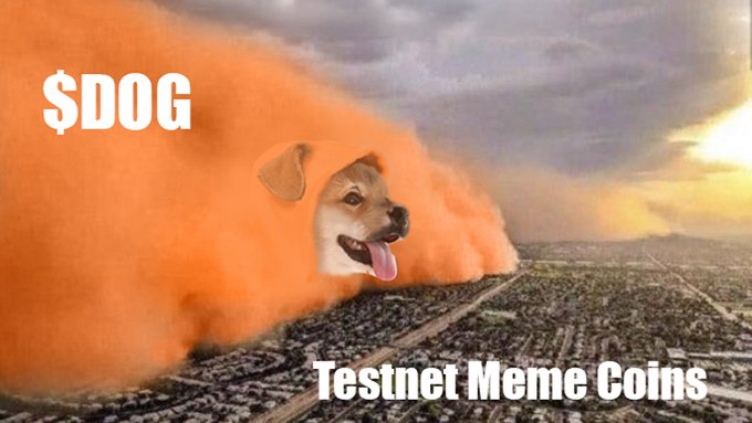 A Shiba Inu (Doge) meme coin, labeled **$DOG**, emerges from a massive orange dust storm rolling over a cityscape, with the caption **"Testnet Meme Coins"** at the bottom—visually illustrating the chaotic, dust-filled landscape of emerging memecoins on Bitcoin's testnet, aligning with the post's celebration of Bitcoin, Ordinals, Runes, and $DOG.