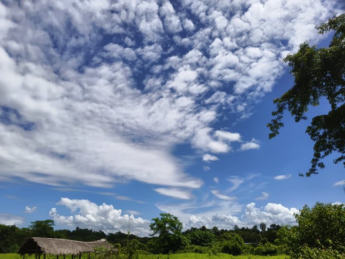 A scenic landscape photograph featuring a vibrant blue sky filled with textured altocumulus clouds above a green treeline and a thatched-roof hut.