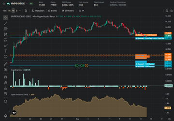 A Hyperliquid perpetual futures trading chart for HYPE/USDC showing price action with candles, indicators, volume bars, and Open Interest metrics on a dark interface.