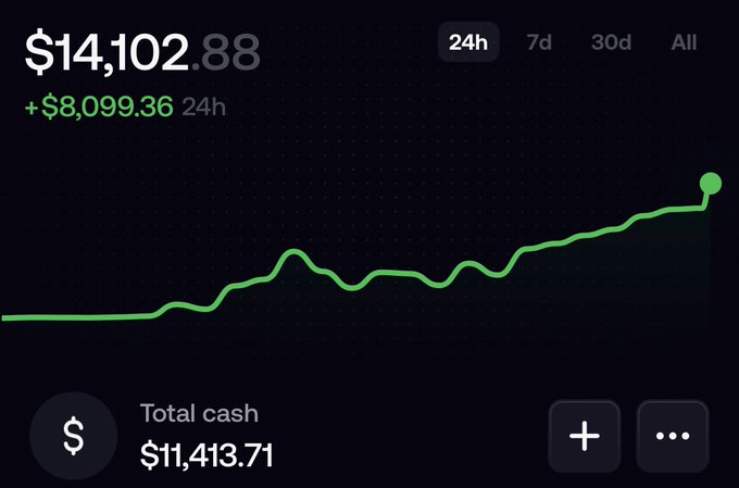 A dark-themed portfolio dashboard displays a total balance of $14,102.88 with a +$8,099.36 gain over 24h, accompanied by a green upward-trending line chart showing the day's price action and a "Total cash" value of $11,413.71—visually capturing a successful onchain day.