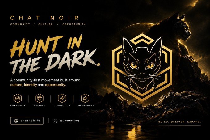 A promotional graphic for 'CHAT NOIR' featuring the tagline 'HUNT IN THE DARK' alongside a golden hexagonal emblem of a cat's face, a black panther silhouette, and icons for community, culture, connection, and opportunity.