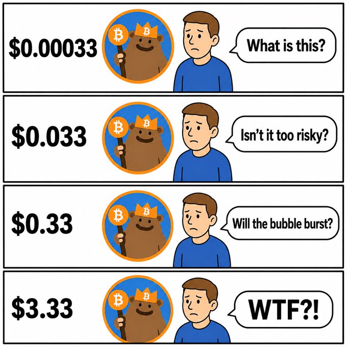 A four-panel comic showing a Bitcoin bear mascot next to a confused man, with increasing prices ($0.00033, $0.033, $0.33, $3.33) paired with progressively more frustrated questions: 'What is this?', 'Isn't it too risky?', 'Will the bubble burst?', and 'WTF?!'
