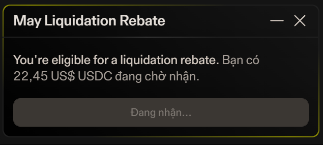 The image shows a text box on a webpage that displays information about liquidation rebates for USDC currency trading.