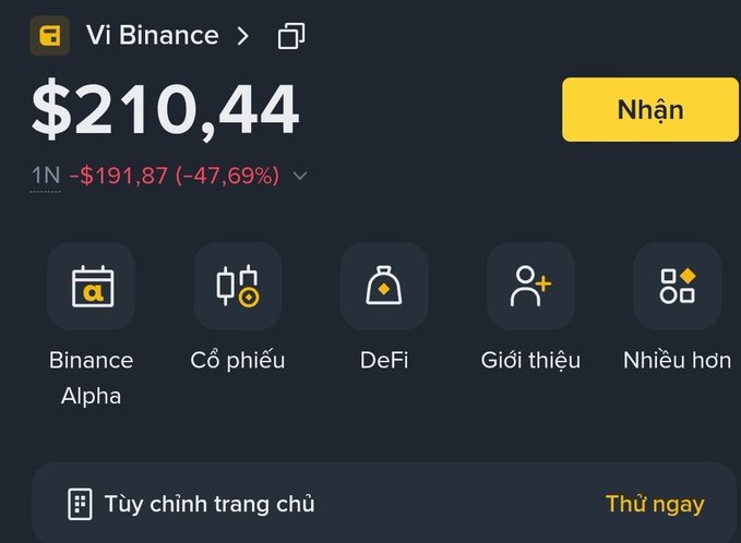 A Binance app interface in Vietnamese showing a portfolio value of $210.44 with a 1N loss of -$191.87 (-47.69%), featuring navigation icons for Binance Alpha, Cổ phiếu, DeFi, Giới thiệu, and Nhiều hơn.