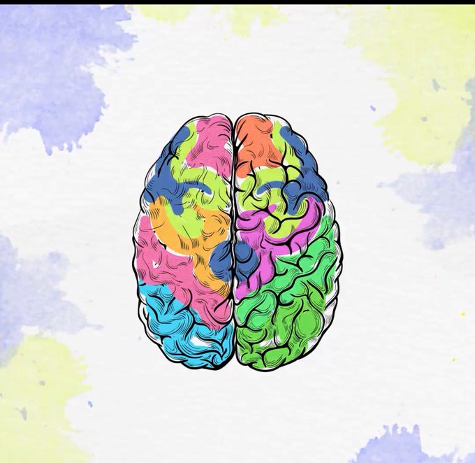 A colorful illustration of a brain divided into vibrant multi-colored sections, with no visible text, represents the unique 6,666 colored NFTs from the MindCraft collection on Ethereum, each featuring its own distinct hue to symbolize individuality.