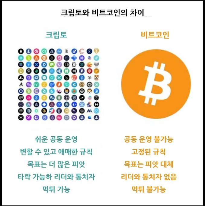 A Korean infographic titled '크립토와 비트코인의 차이' (Difference between Crypto and Bitcoin), showing that crypto offers easy inter-currency conversion, cheap transfers, many targets, and leader/follower capability, while Bitcoin has irreversible fixed rules, no targets, no leaders, and is impossible to eat.