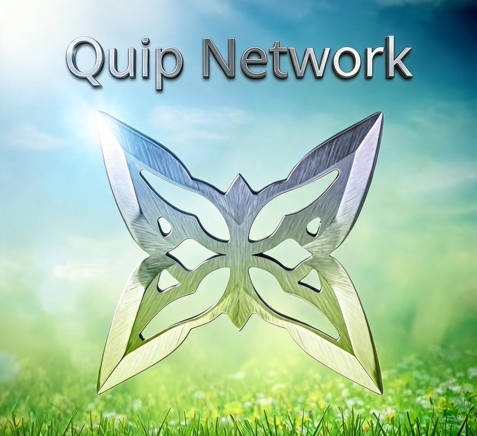 The image features a butterfly-shaped piece of metal art, which appears to be made out of silver or chrome material. The butterfly has intricate designs and patterns on its wings, giving it an artistic and visually appealing appearance. The background of the image is a blurred green field with some grass visible in the foreground.