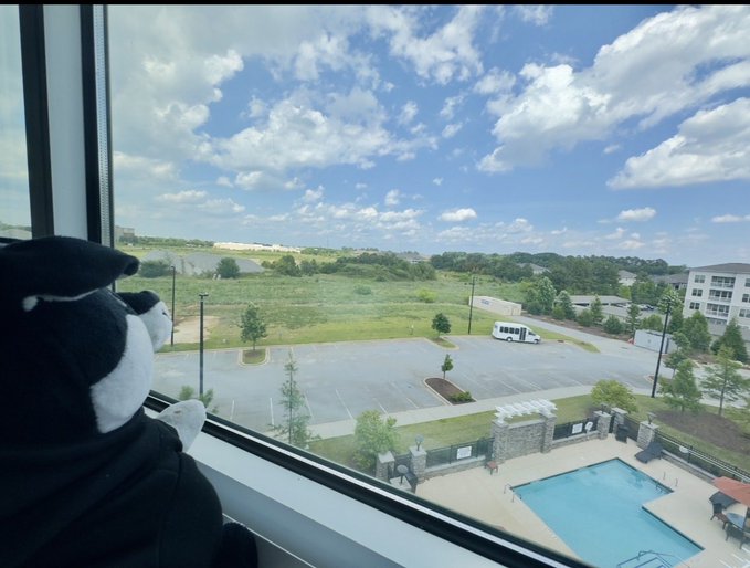 A stuffed black and white cat sitting on a windowsill overlooking a parking lot, swimming pool, and apartment building under a partly cloudy sky.