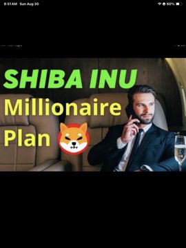 A graphic showing a man on a phone with text reading 'SHIBA INU Millionaire Plan' alongside a Shiba Inu dog emoji.