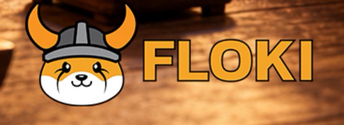 A logo featuring a cartoon Shiba Inu dog wearing a Viking helmet with horns, next to the text 'FLOKI' in orange letters.
