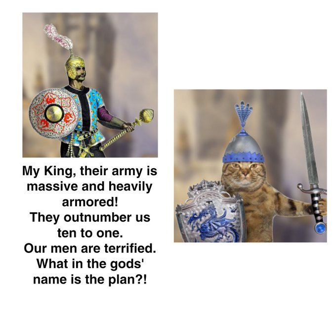 A humorous meme featuring two cats dressed as warriors; the left side shows a cat with text saying 'My King, their army is massive and heavily armored! They outnumber us ten to one. Our men are terrified. What in the gods' name is the plan?!' and the right side shows a cat with a sword and shield.