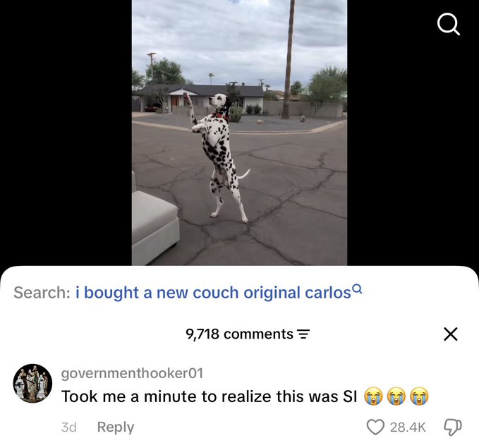 A TikTok screenshot showing a Dalmatian standing on its hind legs in a driveway, with the search query 'i bought a new couch original carlos' and a top comment from 'governmenthooker01' reading 'Took me a minute to realize this was SI 😭😭😭' receiving 28.4K likes.