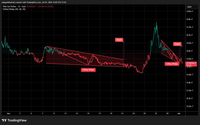 A TradingView chart of Wiki Cat/Tether showing a Falling Wedge pattern with target indicators, posted by @globalhatted on July 1, 2024.