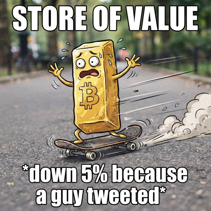 A meme showing an anxious gold bar with the Bitcoin logo skateboarding, with text 'STORE OF VALUE' and '*down 5% because a guy tweeted*'.