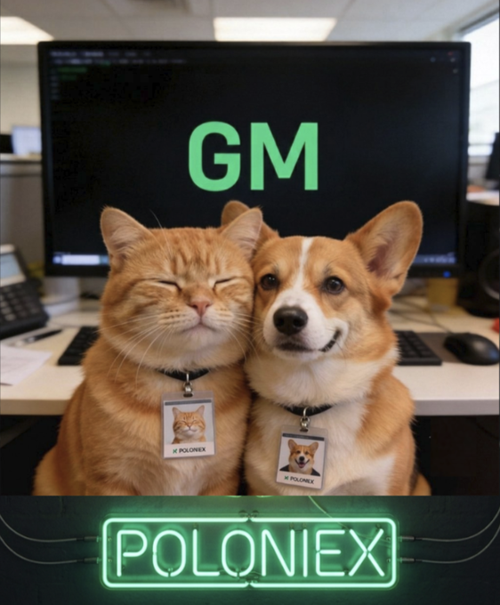 An office scene with a smiling corgi and an orange cat sitting together in front of a monitor displaying 'GM' in green text, with a neon 'POLONIEX' sign at the bottom.