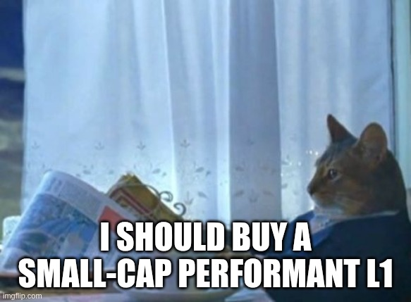 A cat looks out a window at a newspaper with text overlay reading 'I SHOULD BUY A SMALL-CAP PERFORMANT L1'.