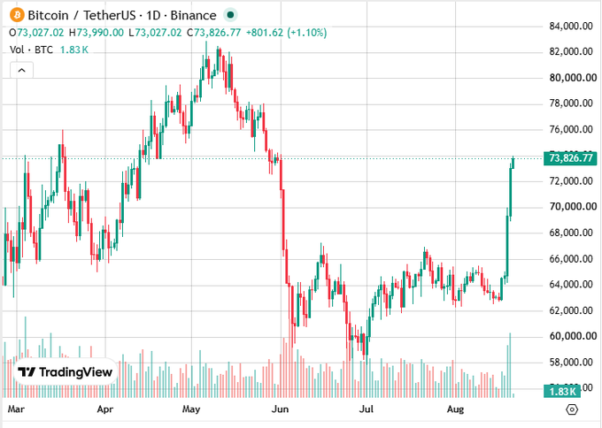 TradingView chart showing the daily Bitcoin/TetherUS (BTCUSDT) price on Binance, indicating a price of $73,826.77 (+1.10%) with volume at 1.83K BTC.