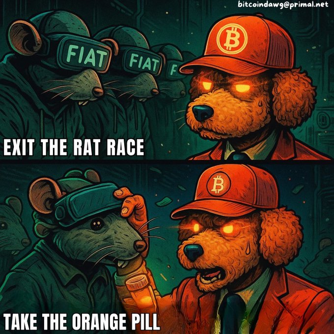 A two-panel crypto-themed meme showing rats wearing 'FIAT' VR headsets labeled 'EXIT THE RAT RACE', contrasted with a dog wearing an orange Bitcoin cap labeled 'TAKE THE ORANGE PILL', with a bitcoin-themed email address at the top.