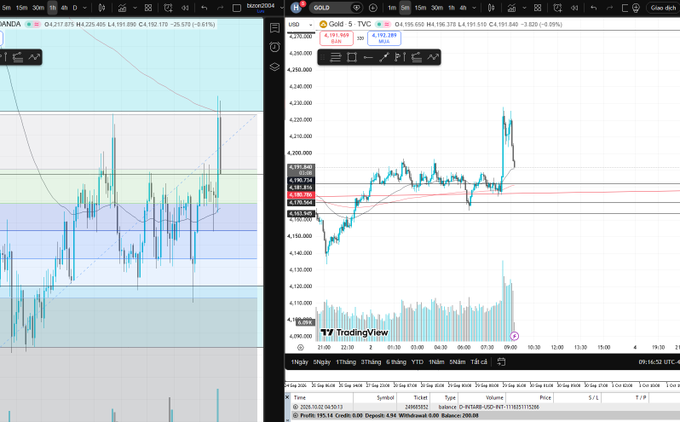 A side-by-side view of two financial charts on TradingView, displaying price movements and technical indicators for the brazilreal (BRL) and gold (XAUUS), showing trading volumes and currency correlations.