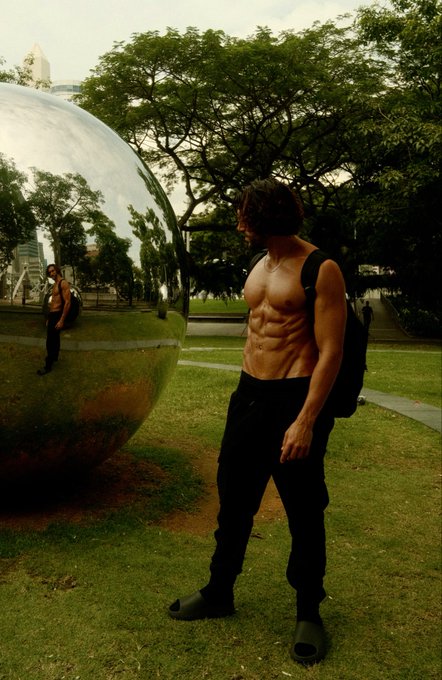 A shirtless, muscular man wearing black pants and a black backpack stands on a grassy field next to a large, reflective metallic sphere that mirrors the surrounding trees and a person nearby.