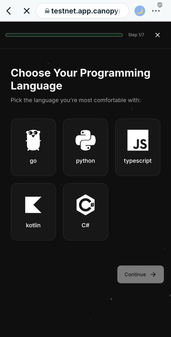 The image shows an app interface that allows users to choose their preferred programming language for a project. The options include languages such as Python, JavaScript, and TypeScript. The user can select their desired language by clicking on the respective icons or buttons displayed in the interface. This feature is helpful for those who want to ensure they are using the most suitable programming language for their needs, based on their comfort level with each language.