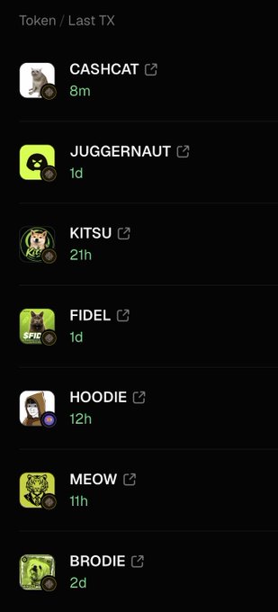 The image displays a "Token / Last TX" list from Robinhood Crypto showing a portfolio of meme coins including CASHCAT (8m), JUGGERNAUT (1d), KITSU (21h), FIDEL (1d), HOODIE (12h), MEOW (11h), and BRODIE (2d). These recently purchased altcoins illustrate the user's strategy of "buying the winners" before HODLing them, as outlined in their simple chain plan to profit.