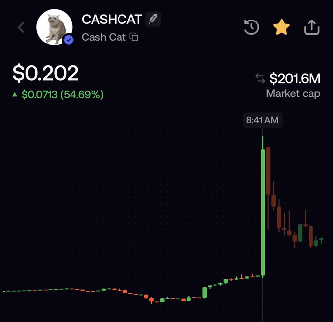 A cryptocurrency chart showing 'CASHCAT' (Cash Cat) priced at $0.202, with a 54.69% increase and a market cap of $201.6M.