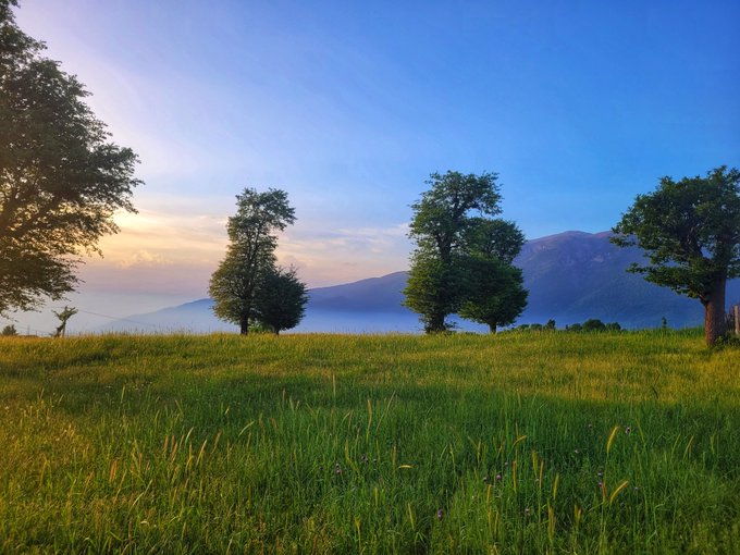 A serene landscape photograph shows a lush green grassy field with several trees in the foreground, rolling hills and mountains in the distance under a soft pastel sky at either sunrise or sunset.