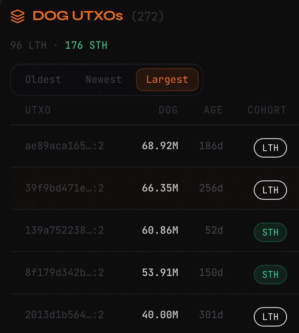 The image shows a close-up of an advertisement screen for a cryptocurrency named dog data. The screen displays information about the largest blockchain wallets across various cryptocurrencies, including their age (older or younger) and size (larger or smaller). The website's URL is provided at the bottom of the image. This advertisement appears to be related to the post discussing the distribution of the coin dog data on different platforms.