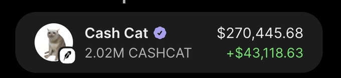 The image shows a portfolio asset labeled “Cash Cat” with a verified badge, holding 2.02M CASHCAT and a current value of $270,445.68, up $43,118.63. It visually supports the post’s claim that the author accumulated more CASHCAT while others panic-sold, apparently ahead of an upward move.