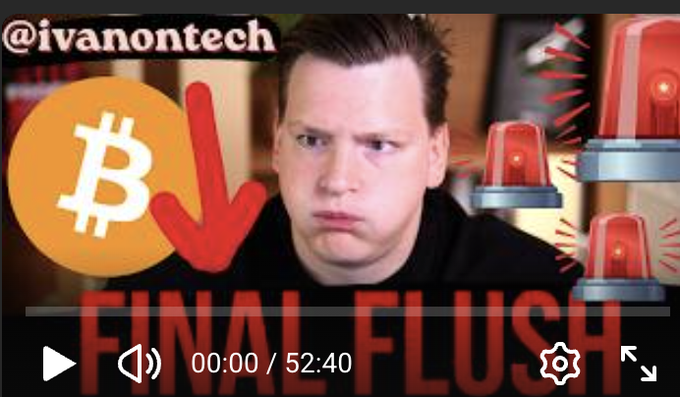 The image features a man sitting with his head down, looking at a computer screen that displays a video about Bitcoin. The title of the video reads "Final Flush", indicating that the content is related to Bitcoin or cryptocurrency. The man's expression suggests he might be feeling overwhelmed by the information presented in the video.